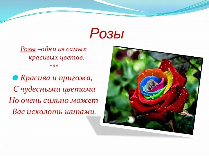 Розы Розы –одни из самых красивых цветов. *** Красива и пригожа, С