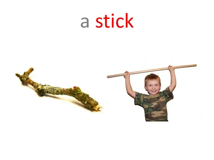 a stick
