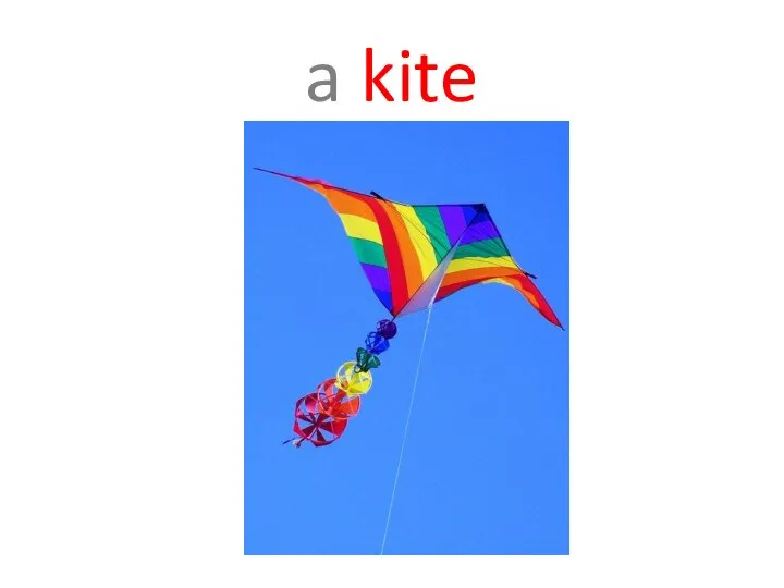 a kite