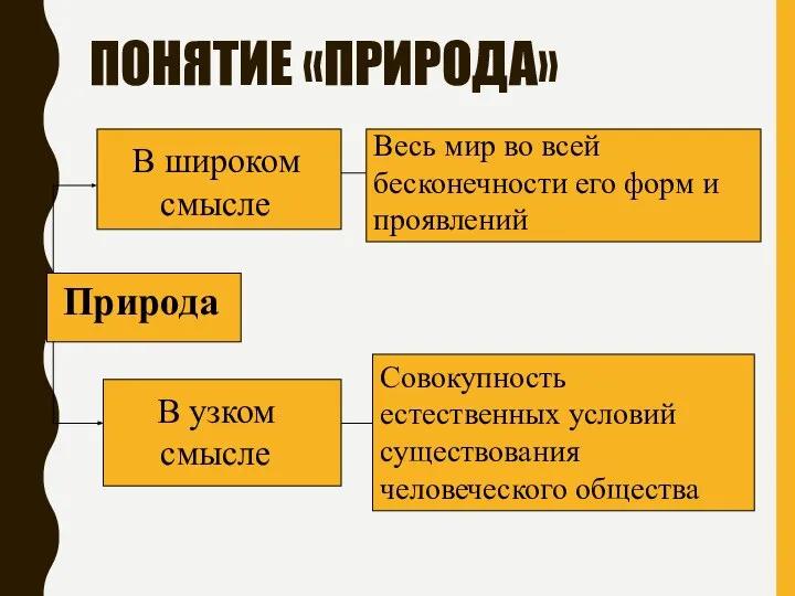 ПОНЯТИЕ «ПРИРОДА» Природа В широком смысле Весь мир во всей бесконечности его