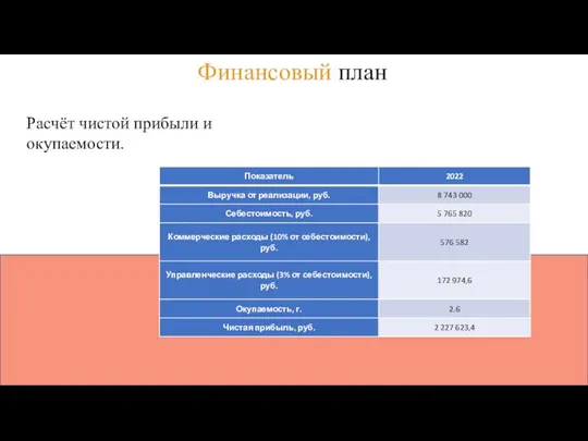 Финансовый план Расчёт чистой прибыли и окупаемости.