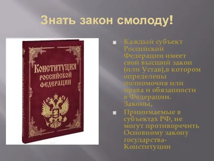 Знать закон смолоду! Каждый субъект Российской Федерации имеет свой высший закон (или