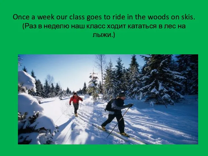 Once a week our class goes to ride in the woods on