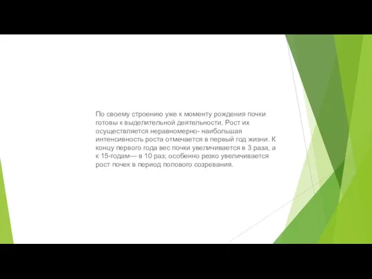 По своему строению уже к моменту рождения почки готовы к выделительной деятельности.