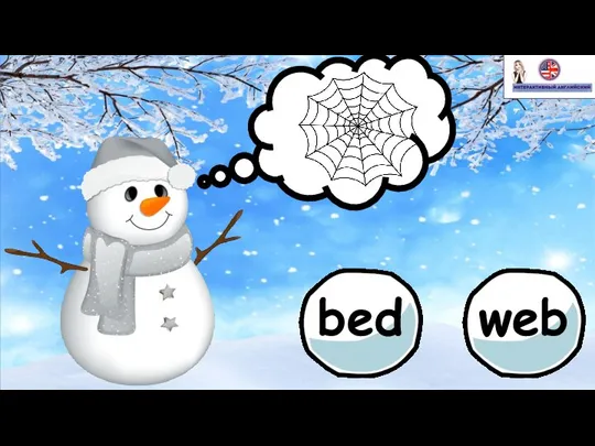 bed web