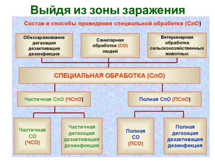 Выйдя из зоны заражения