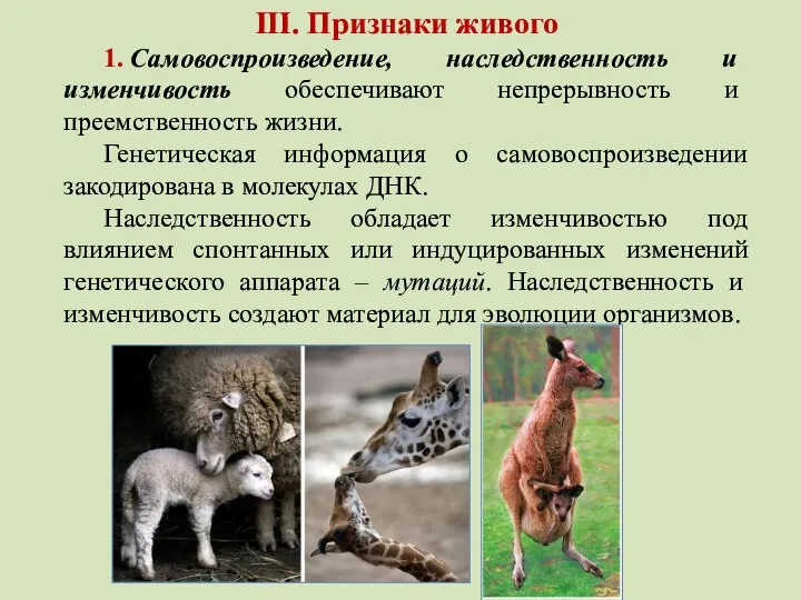 III. Признаки живого 1. Самовоспроизведение, наследственность и изменчивость обеспечивают непрерывность и преемственность