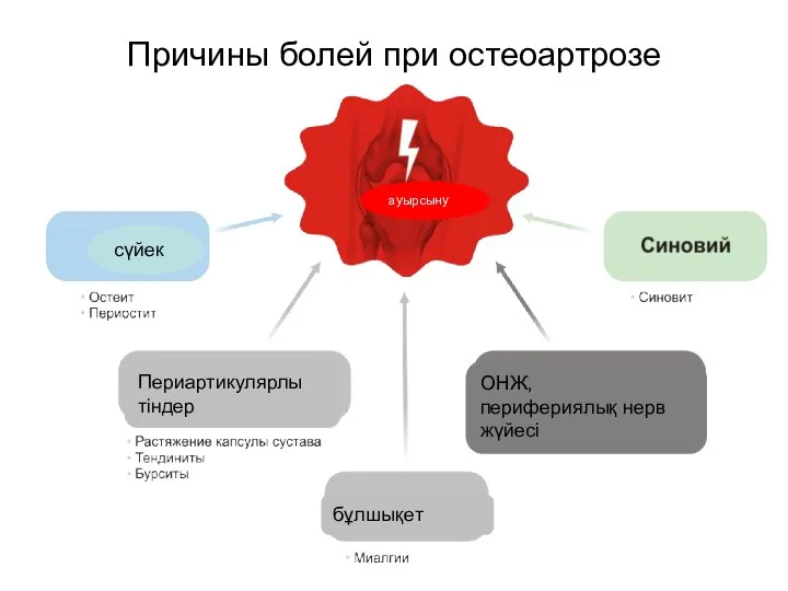 Причины болей при остеоартрозе ауырсыну сүйек Периартикулярлы тіндер ОНЖ, перифериялық нерв жүйесі бұлшықет