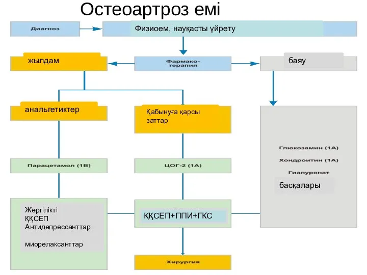 Остеоартроз емі Физиоем, науқасты үйрету жылдам анальгетиктер Қабынуға қарсы заттар баяу басқалары