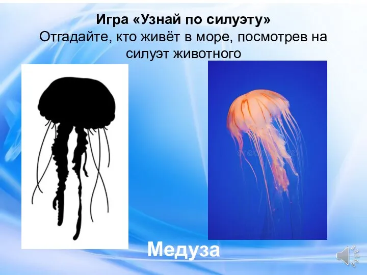 Медуза Игра «Узнай по силуэту» Отгадайте, кто живёт в море, посмотрев на силуэт животного