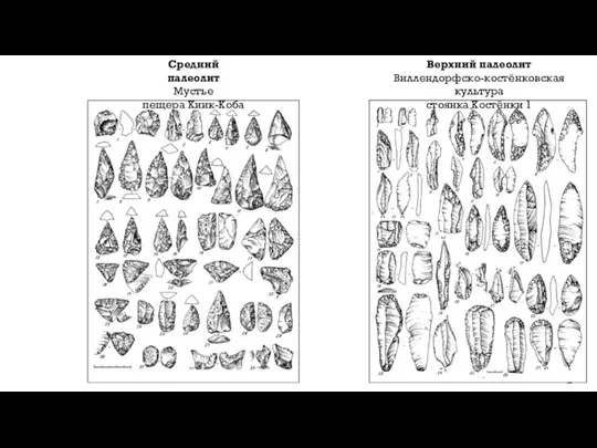 Верхний палеолит Виллендорфско-костёнковская культура стоянка Костёнки 1 Средний палеолит Мустье пещера Киик-Коба