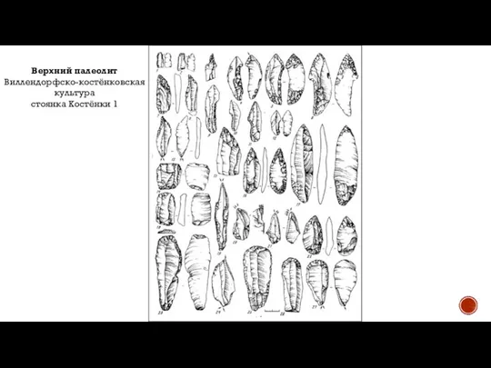 Верхний палеолит Виллендорфско-костёнковская культура стоянка Костёнки 1