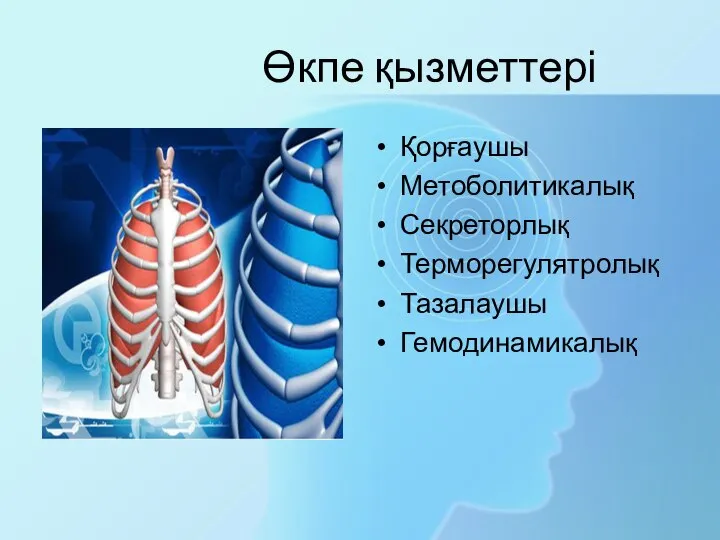 Өкпе қызметтері Қорғаушы Метоболитикалық Секреторлық Терморегулятролық Тазалаушы Гемодинамикалық