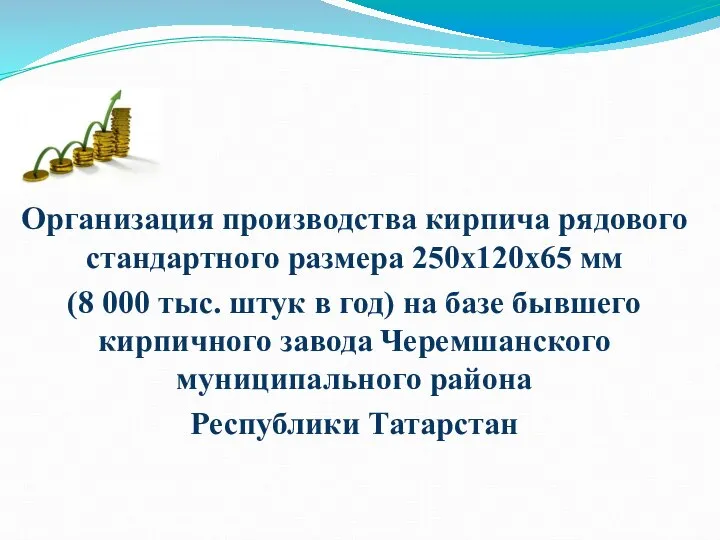 Организация производства кирпича рядового стандартного размера 250х120х65 мм (8 000 тыс. штук