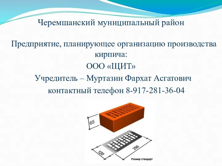 Черемшанский муниципальный район Предприятие, планирующее организацию производства кирпича: ООО «ЩИТ» Учредитель –