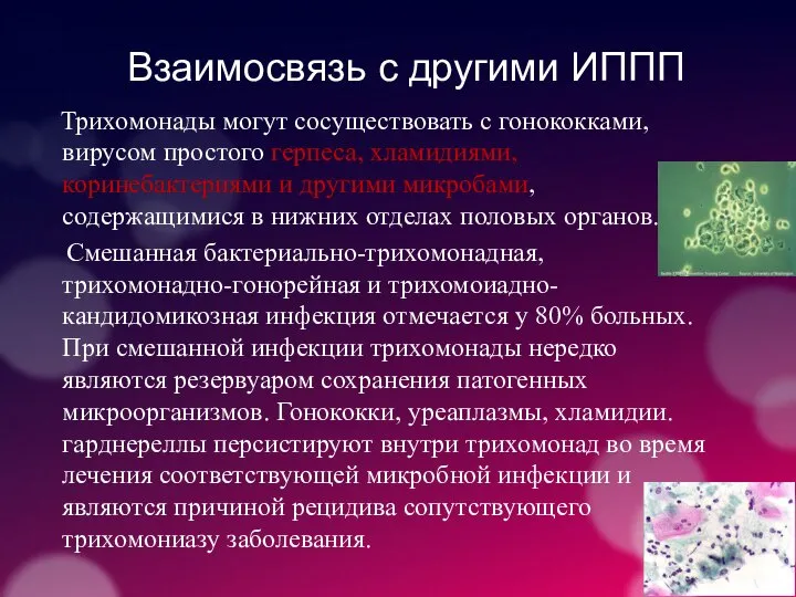 Взаимосвязь с другими ИППП Трихомонады могут сосуществовать с гонококками, вирусом простого герпеса,