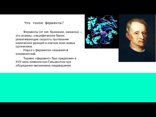 Что такое ферменты? Ферменты (от лат. брожение, закваска) – это энзимы, специфические