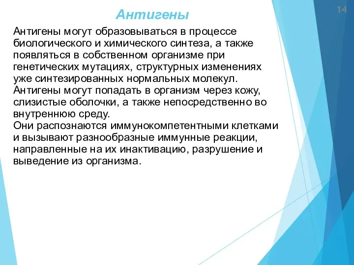 Антигены Антигены могут образовываться в процессе биологического и химического синтеза, а также