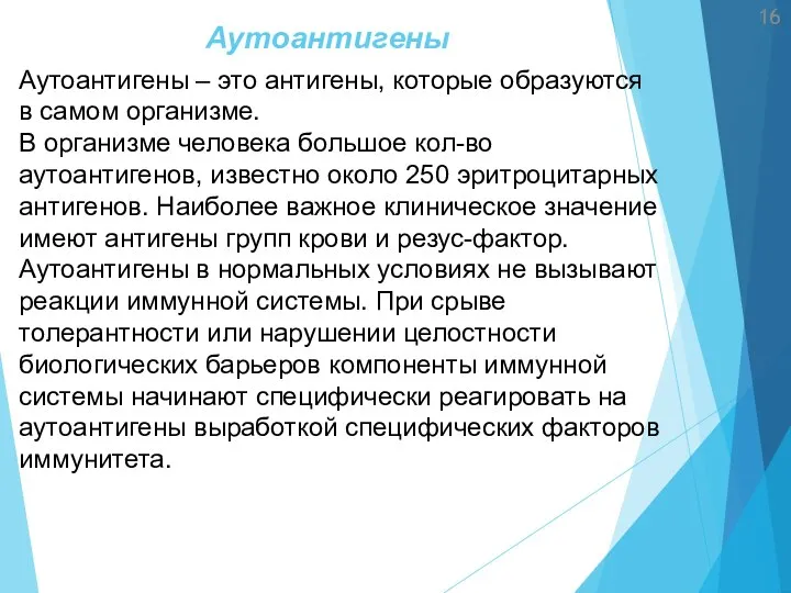 Аутоантигены Аутоантигены – это антигены, которые образуются в самом организме. В организме