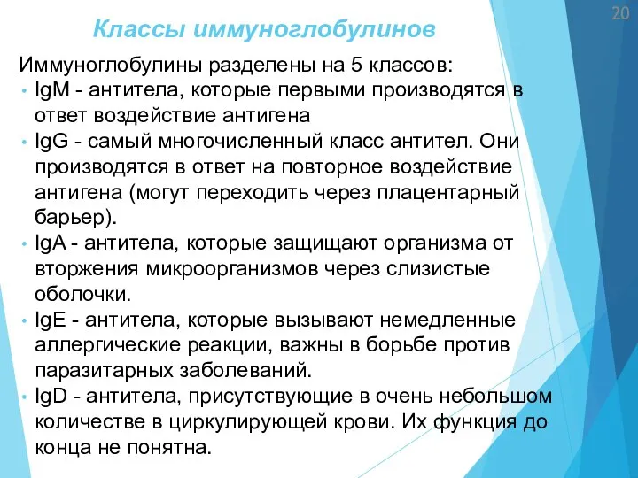 Классы иммуноглобулинов Иммуноглобулины разделены на 5 классов: IgM - антитела, которые первыми