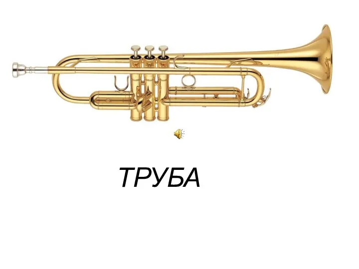 ТРУБА