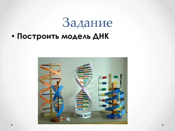 Задание Построить модель ДНК