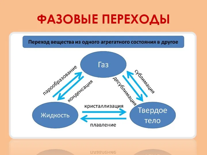 ФАЗОВЫЕ ПЕРЕХОДЫ