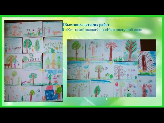 Выставка детских работ «Кто такой эколог?» и «Наш цветущий сад»