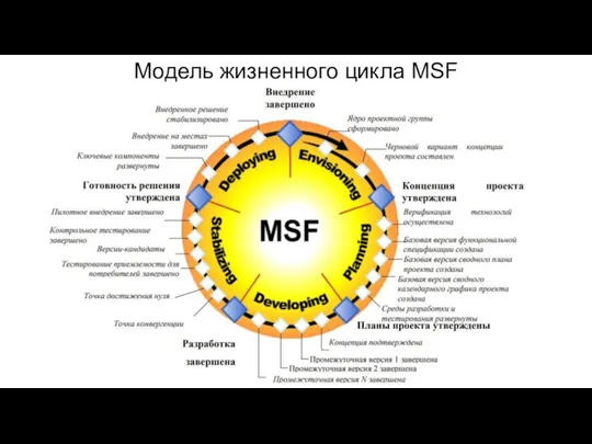 Модель жизненного цикла MSF