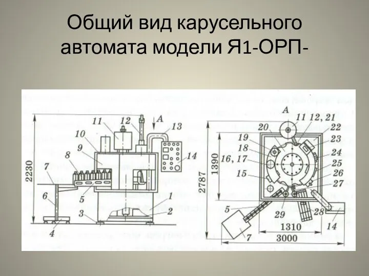 Общий вид карусельного автомата модели Я1-ОРП-