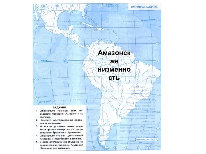 Амазонская низменность Амазонская низменность