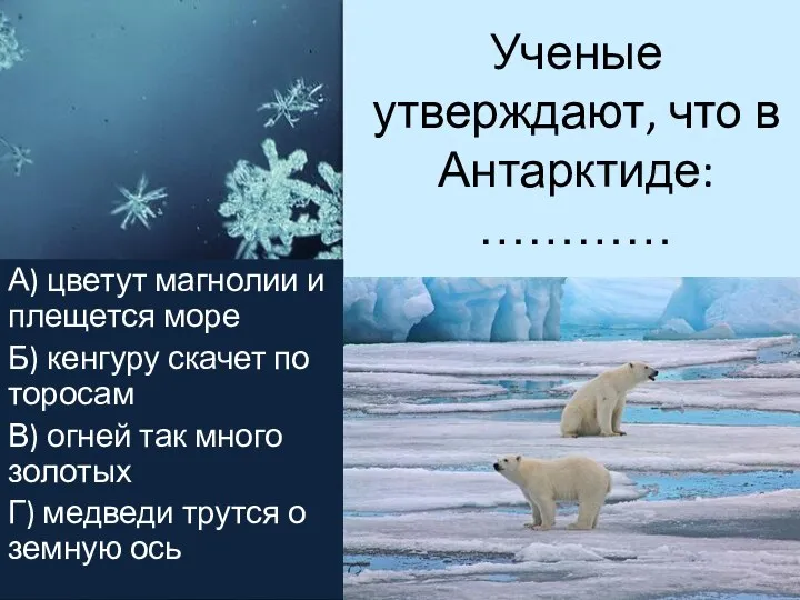 Ученые утверждают, что в Антарктиде: ………… А) цветут магнолии и плещется море