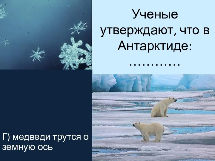 Ученые утверждают, что в Антарктиде: ………… Г) медведи трутся о земную ось