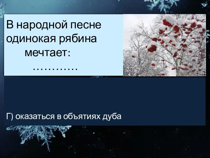 В народной песне одинокая рябина мечтает: ………… Г) оказаться в объятиях дуба