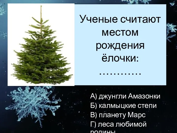 Ученые считают местом рождения ёлочки: ………… А) джунгли Амазонки Б) калмыцкие степи