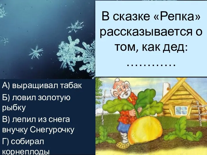 В сказке «Репка» рассказывается о том, как дед: ………… А) выращивал табак