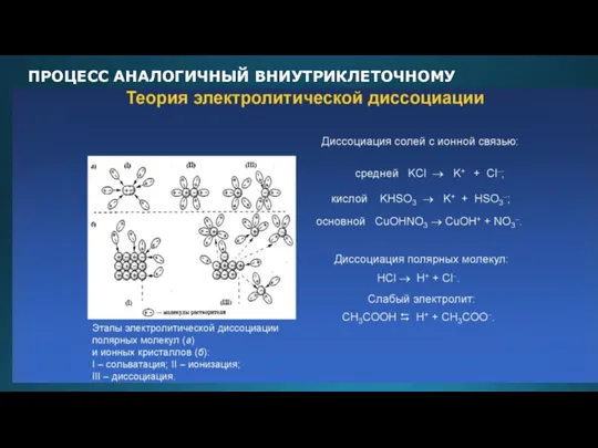 ПРОЦЕСС АНАЛОГИЧНЫЙ ВНИУТРИКЛЕТОЧНОМУ