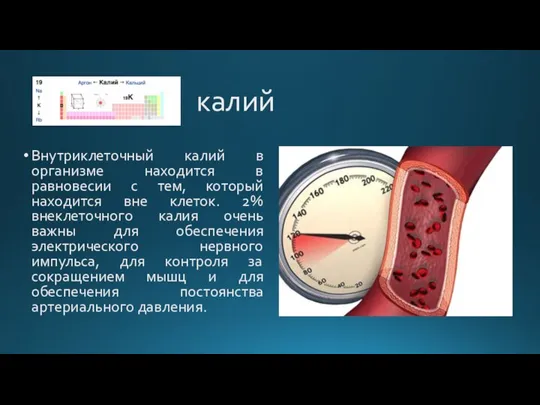 Внутриклеточный калий в организме находится в равновесии с тем, который находится вне