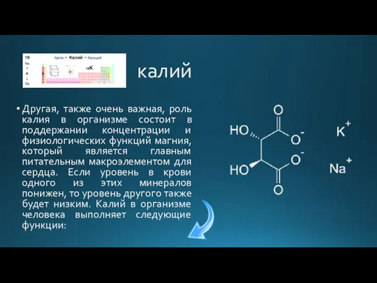 Другая, также очень важная, роль калия в организме состоит в поддержании концентрации