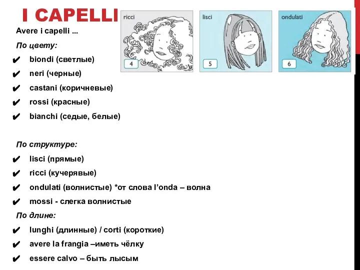 I CAPELLI Avere i capelli ... По цвету: biondi (светлые) neri (черные)