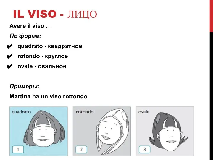 IL VISO - ЛИЦО Avere il viso … По форме: quadrato -