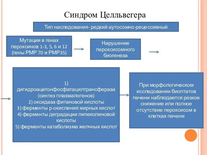 Синдром Целльвегера Тип наследования- редкий аутосомно-рецессивный Мутации в генах пероксинов 1-3, 5,