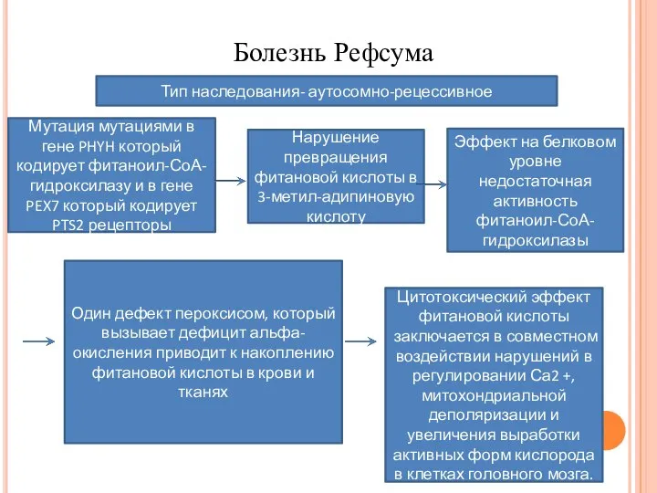 Болезнь Рефсума Тип наследования- аутосомно-рецессивное Мутация мутациями в гене PHYH который кодирует