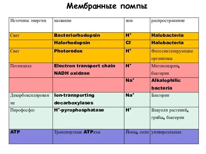 Мембранные помпы