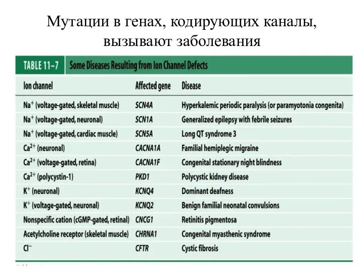 Мутации в генах, кодирующих каналы, вызывают заболевания