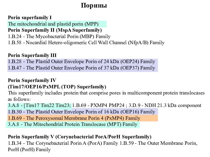 Рorin superfamily I The mitochondrial and plastid porin (MPP) Porin Superfamily II