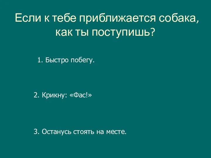 Если к тебе приближается собака, как ты поступишь? 1. Быстро побегу. 2.