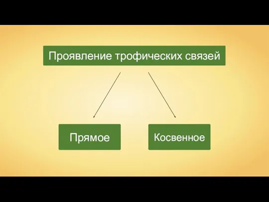 Проявление трофических связей Прямое Косвенное