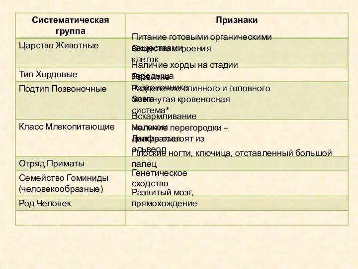 Питание готовыми органическими веществами Сходство строения клеток Наличие хорды на стадии зародыша