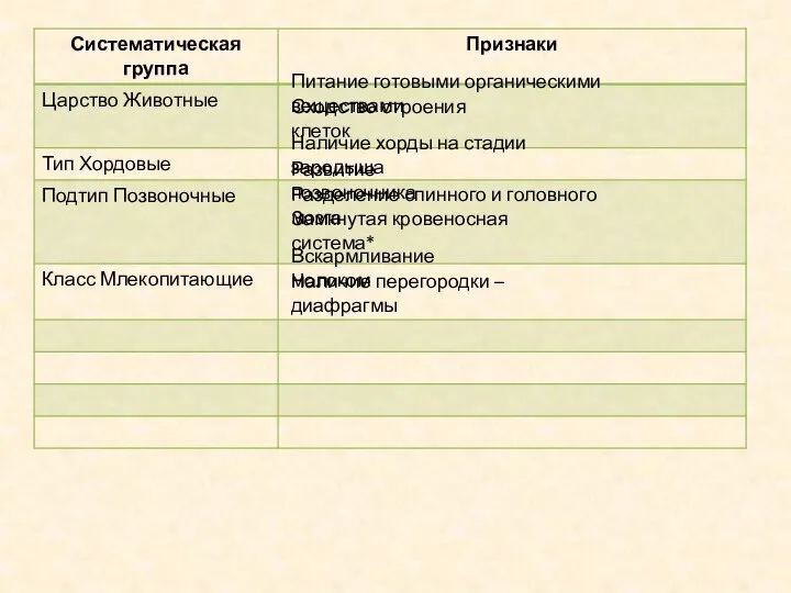 Питание готовыми органическими веществами Сходство строения клеток Наличие хорды на стадии зародыша